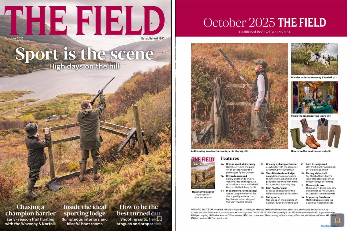 The Field October 2025